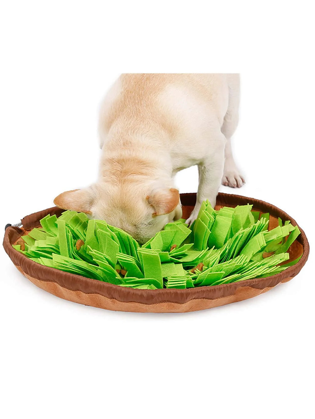 Interactive Brain-Training Snuffle Mat