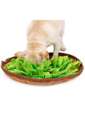 Interactive Brain-Training Snuffle Mat