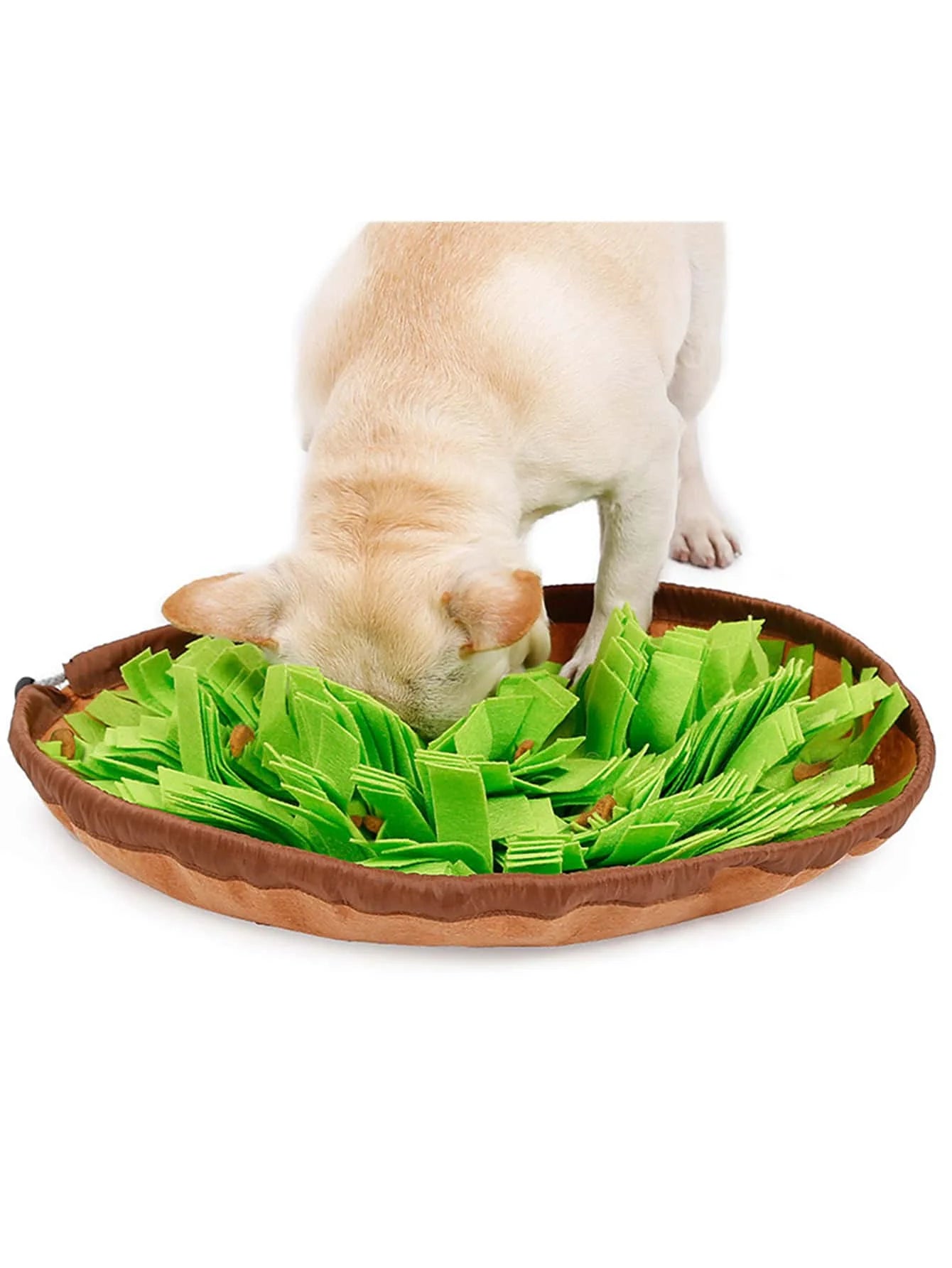 Interactive Brain-Training Snuffle Mat