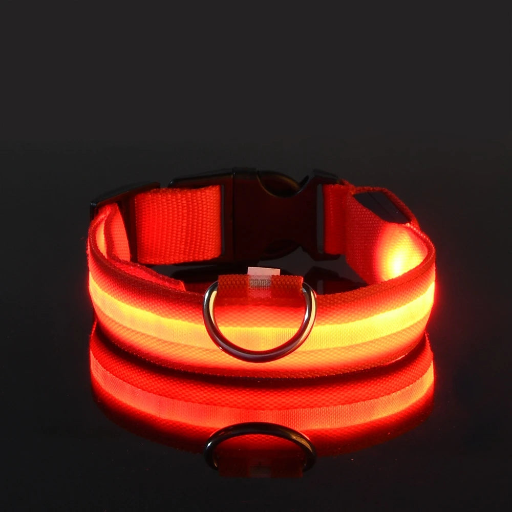 Ultra-Bright LED Night Safety Dog Collar – Glow in the Dark