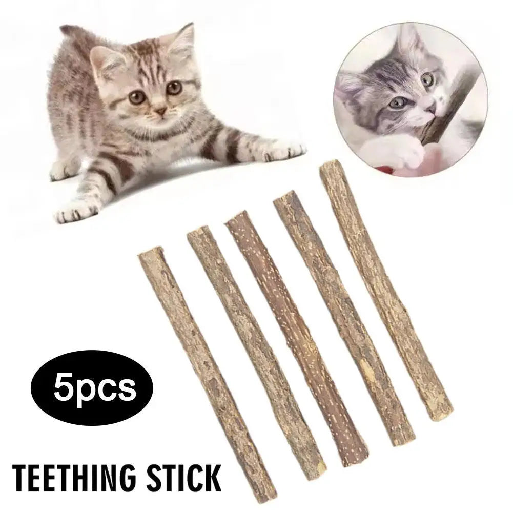 Natural Silvervine Cat Molar Sticks – 5Pcs Dental Care Chew Toys