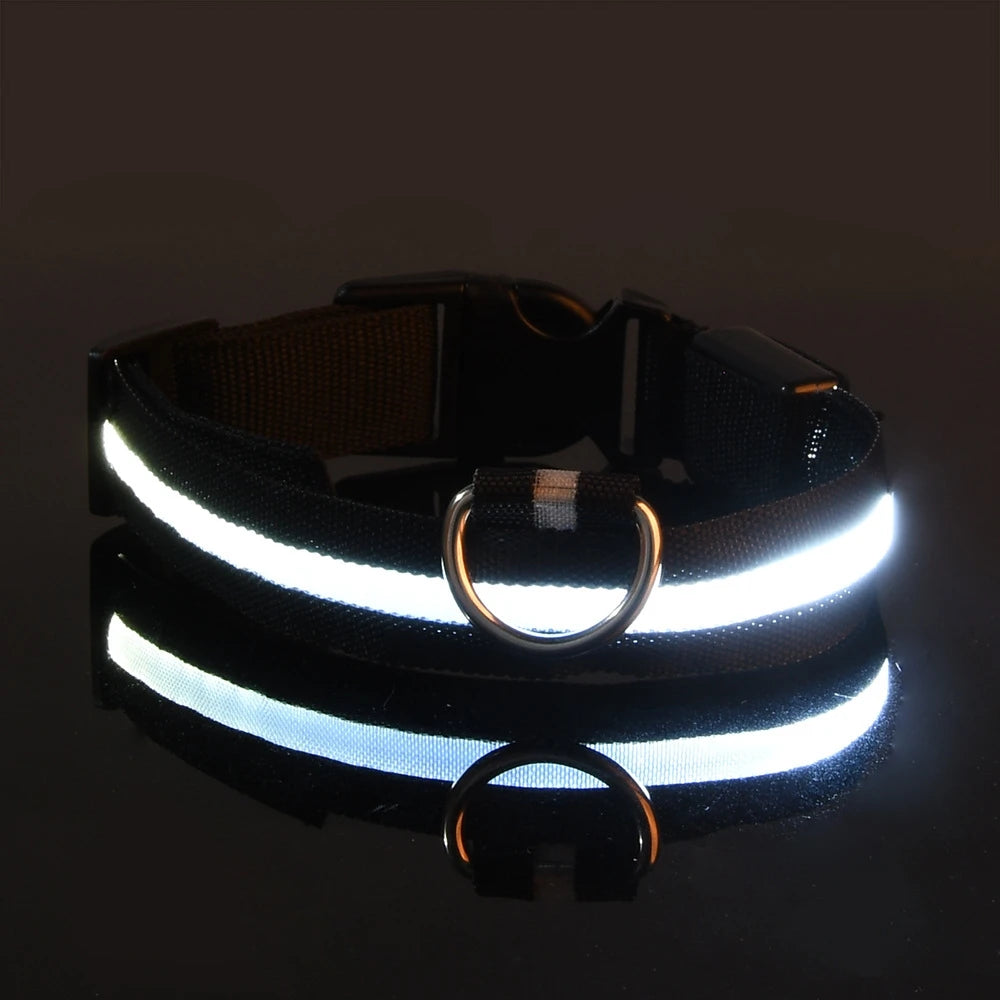 Ultra-Bright LED Night Safety Dog Collar – Glow in the Dark