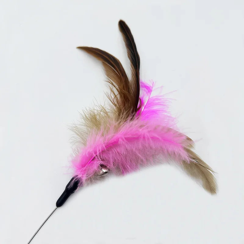 Interactive Tumbler Cat Feather Toy