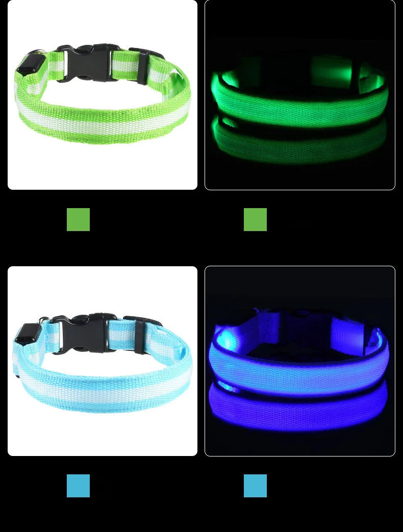 Ultra-Bright LED Night Safety Dog Collar – Glow in the Dark