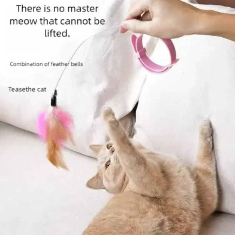 Interactive Tumbler Cat Feather Toy