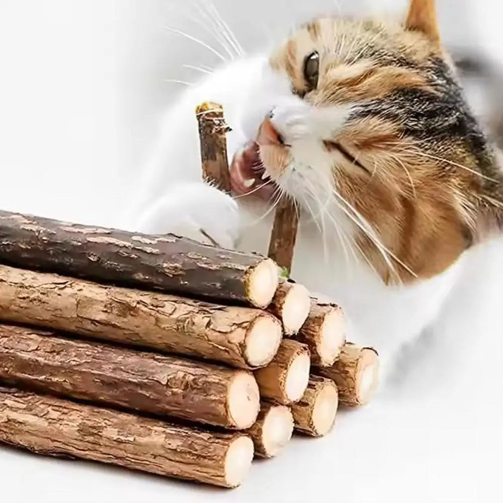 Natural Silvervine Cat Molar Sticks – 5Pcs Dental Care Chew Toys