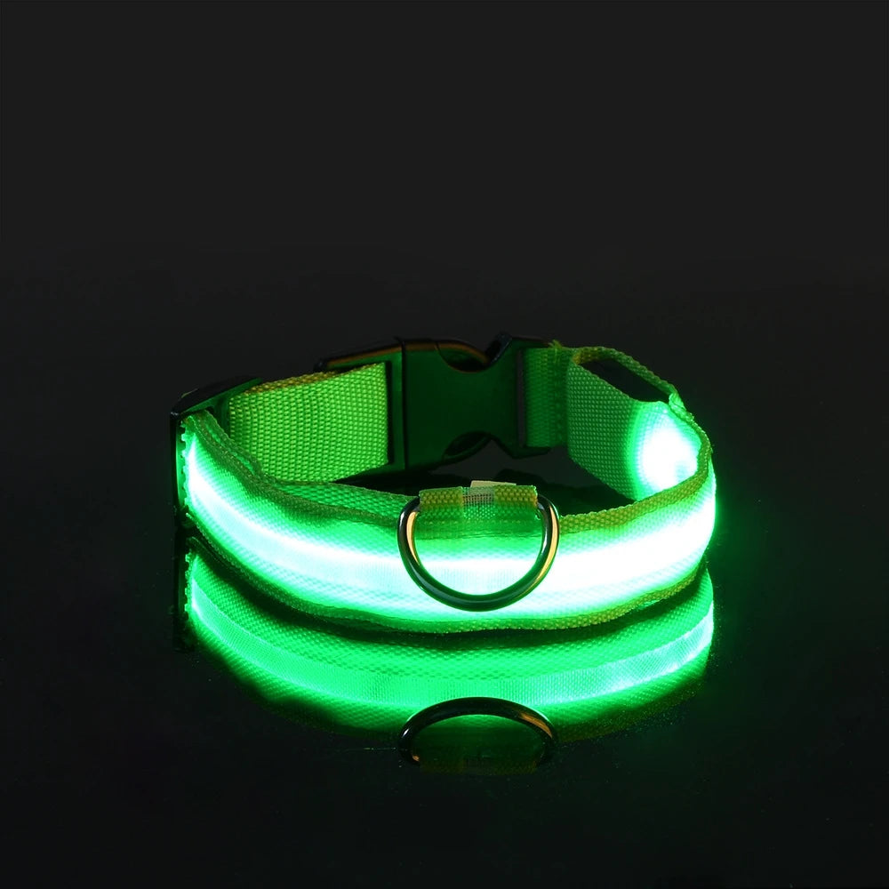 Ultra-Bright LED Night Safety Dog Collar – Glow in the Dark