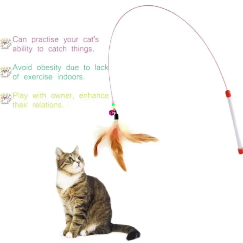 Interactive Tumbler Cat Feather Toy