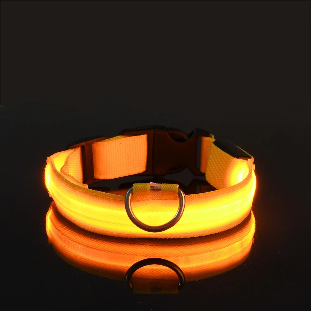 Ultra-Bright LED Night Safety Dog Collar – Glow in the Dark