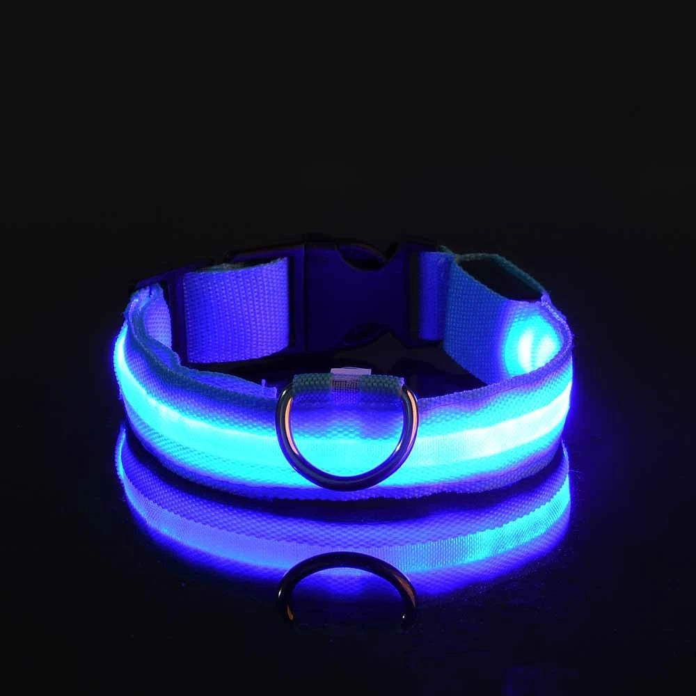 Ultra-Bright LED Night Safety Dog Collar – Glow in the Dark