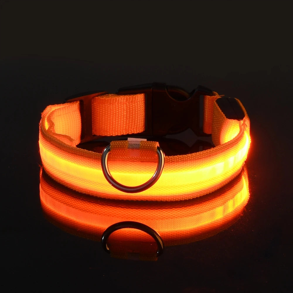 Ultra-Bright LED Night Safety Dog Collar – Glow in the Dark