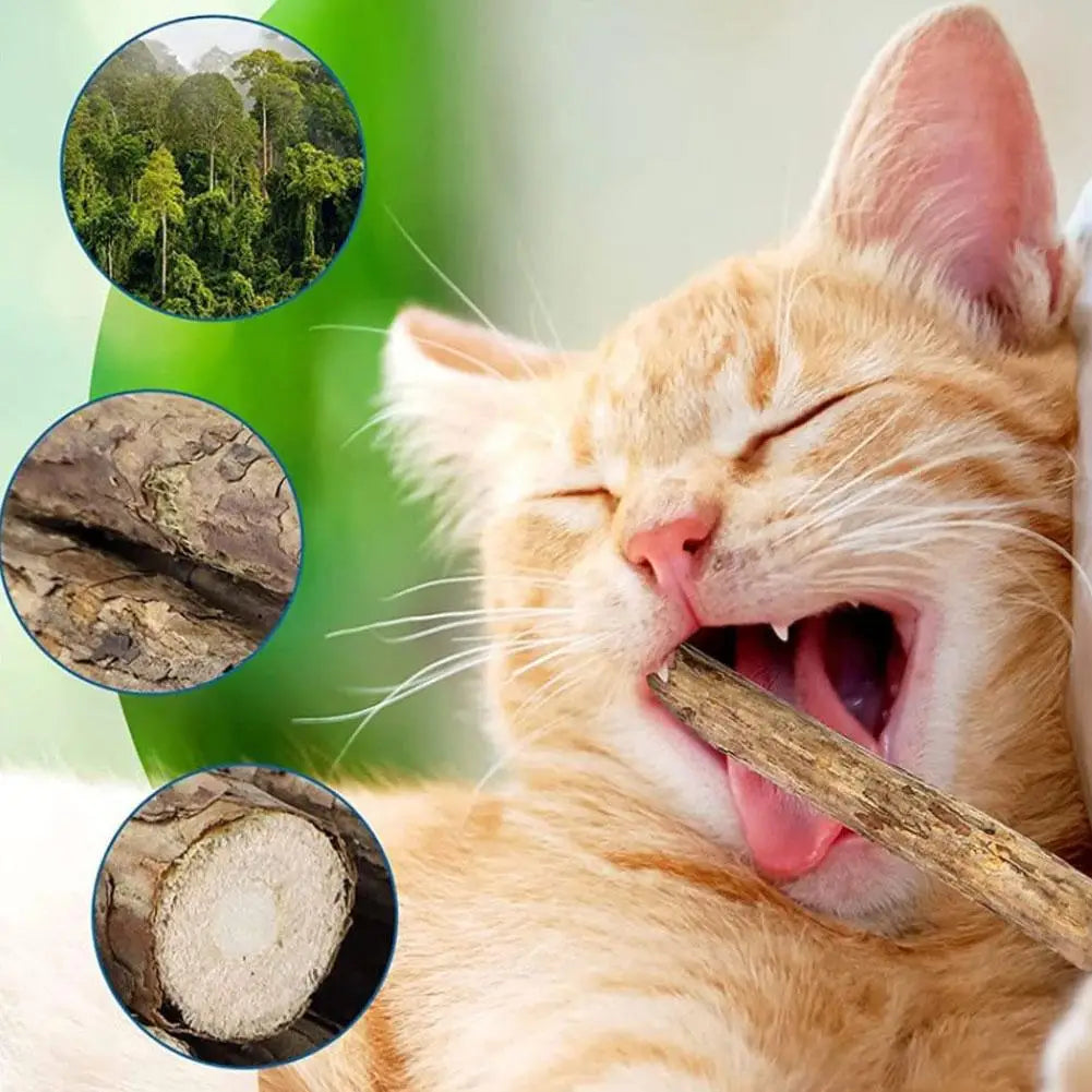 Natural Silvervine Cat Molar Sticks – 5Pcs Dental Care Chew Toys