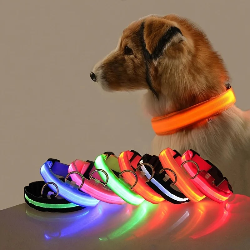 Ultra-Bright LED Night Safety Dog Collar – Glow in the Dark