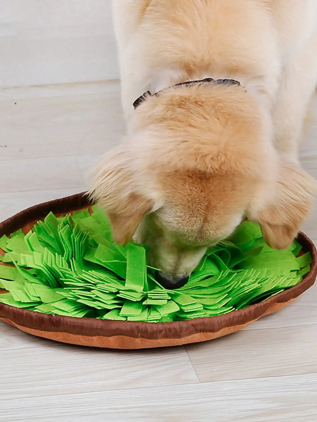 Interactive Brain-Training Snuffle Mat