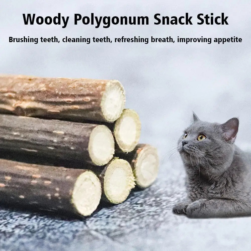 Natural Silvervine Cat Molar Sticks – 5Pcs Dental Care Chew Toys