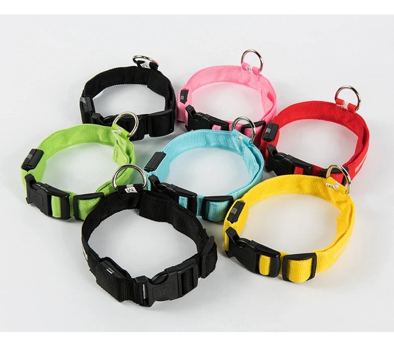 Ultra-Bright LED Night Safety Dog Collar – Glow in the Dark