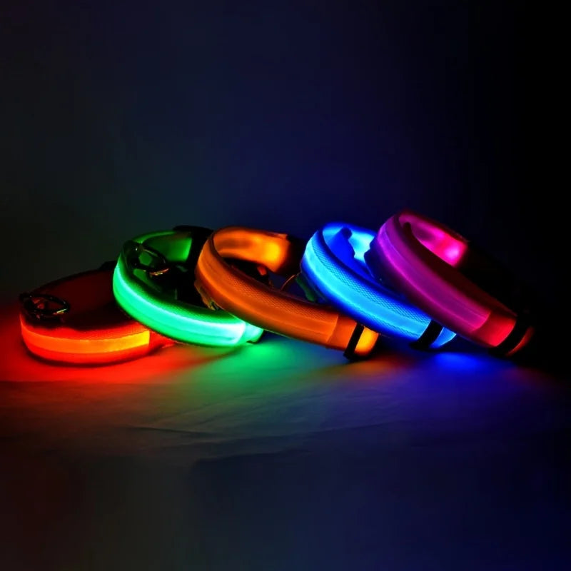 Ultra-Bright LED Night Safety Dog Collar – Glow in the Dark