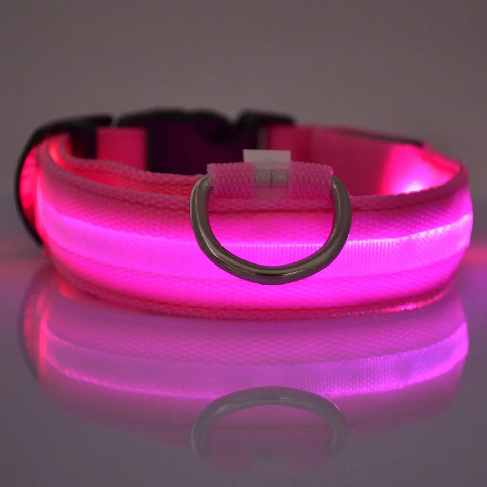 Ultra-Bright LED Night Safety Dog Collar – Glow in the Dark