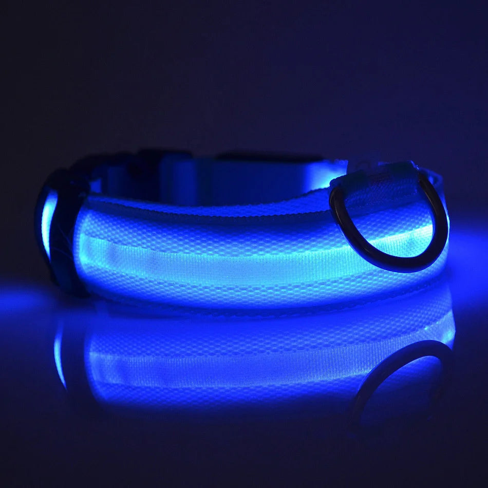 Ultra-Bright LED Night Safety Dog Collar – Glow in the Dark
