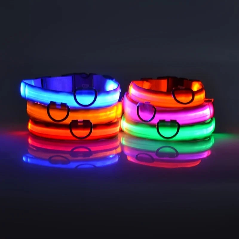 Ultra-Bright LED Night Safety Dog Collar – Glow in the Dark