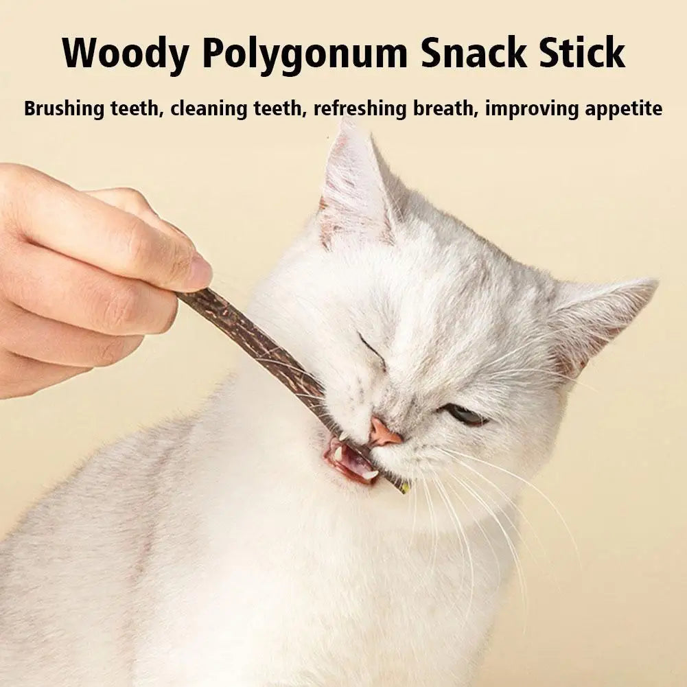 Natural Silvervine Cat Molar Sticks – 5Pcs Dental Care Chew Toys