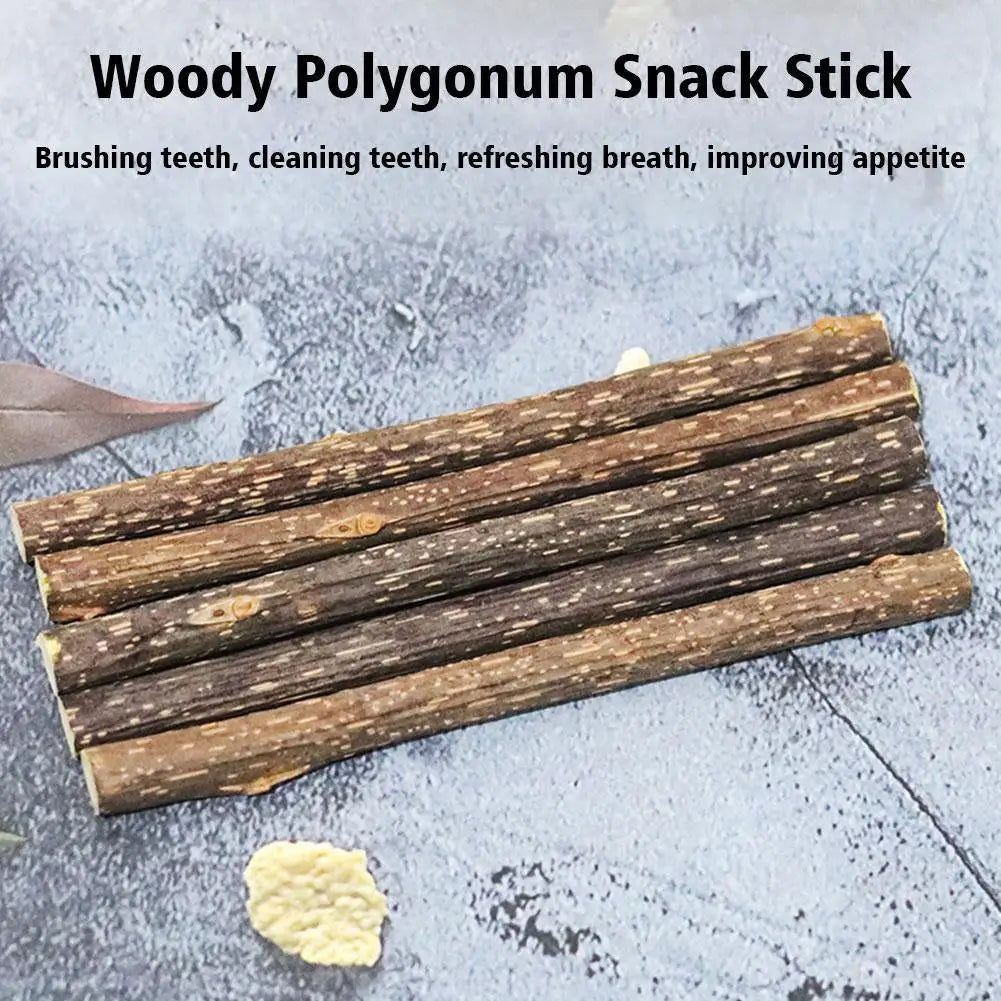 Natural Silvervine Cat Molar Sticks – 5Pcs Dental Care Chew Toys