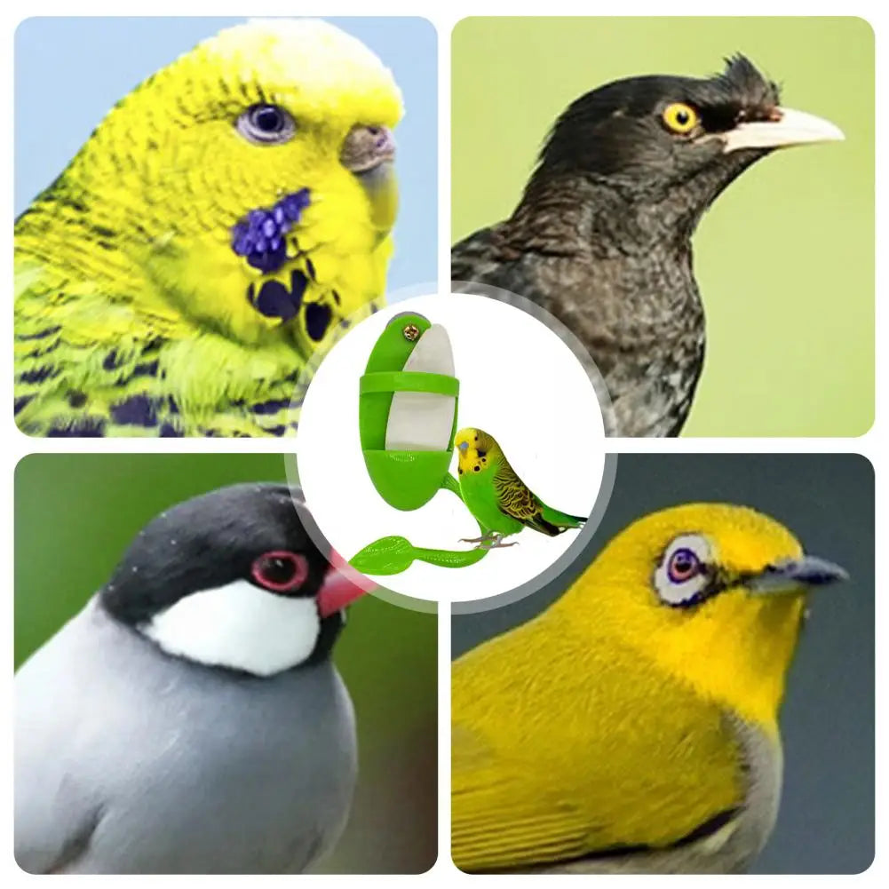 Parrot Fruit & Veggie Holder – Hanging Bird Feeder with Perch