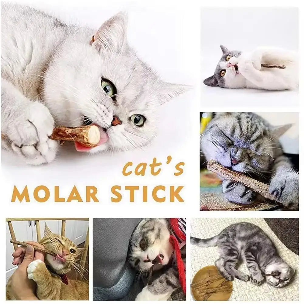 Natural Silvervine Cat Molar Sticks – 5Pcs Dental Care Chew Toys