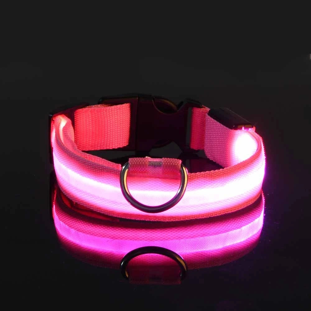 Ultra-Bright LED Night Safety Dog Collar – Glow in the Dark