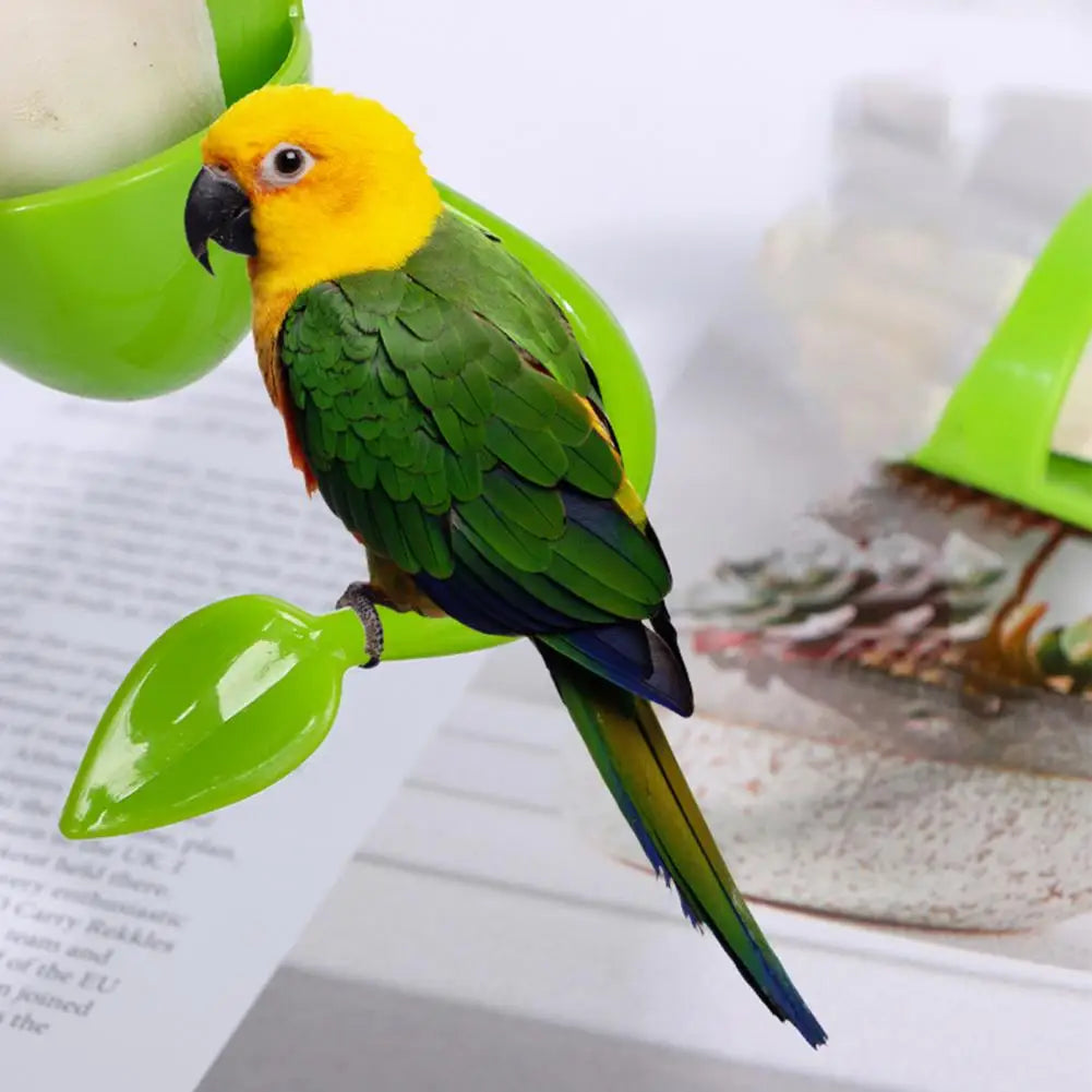 Parrot Fruit & Veggie Holder – Hanging Bird Feeder with Perch