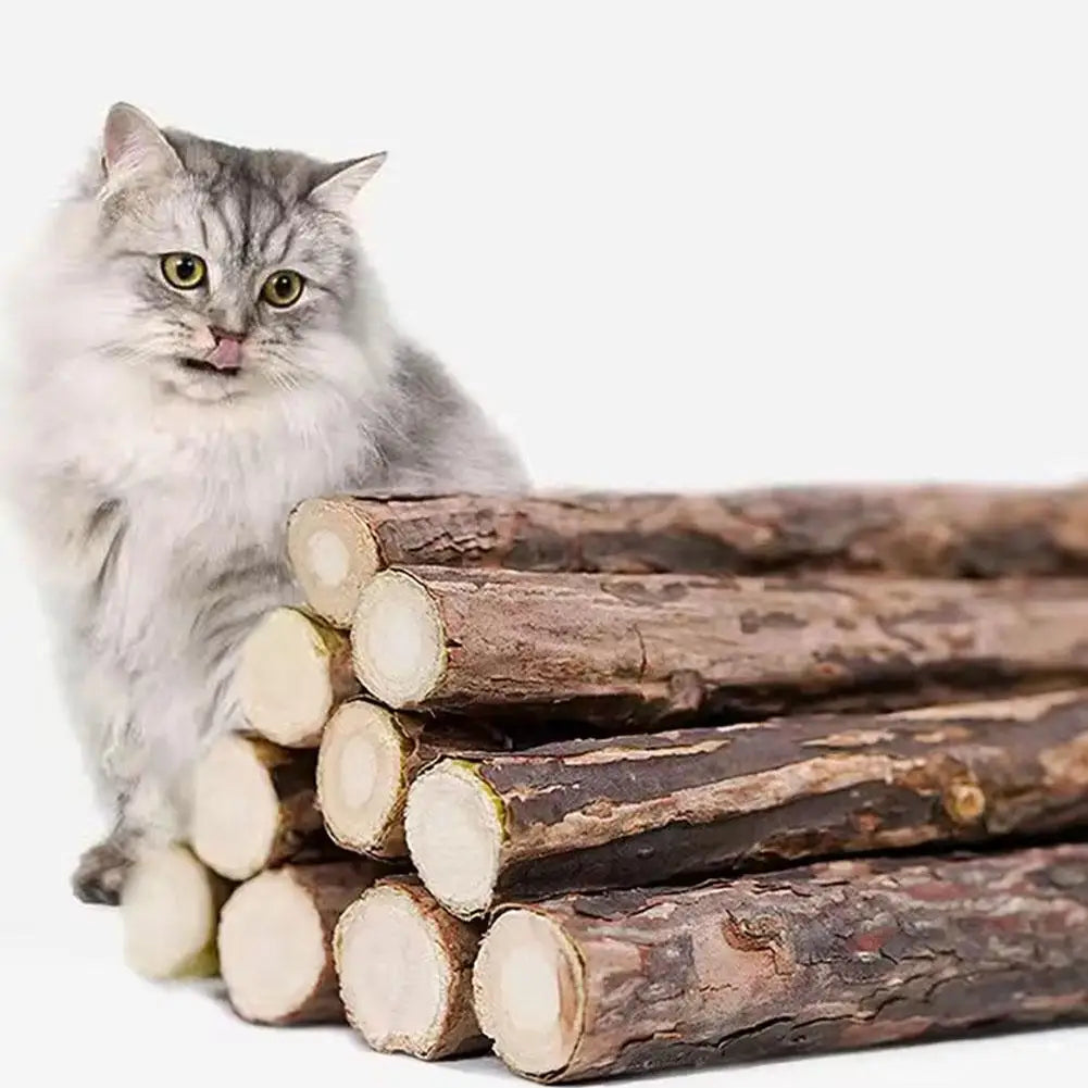 Natural Silvervine Cat Molar Sticks – 5Pcs Dental Care Chew Toys