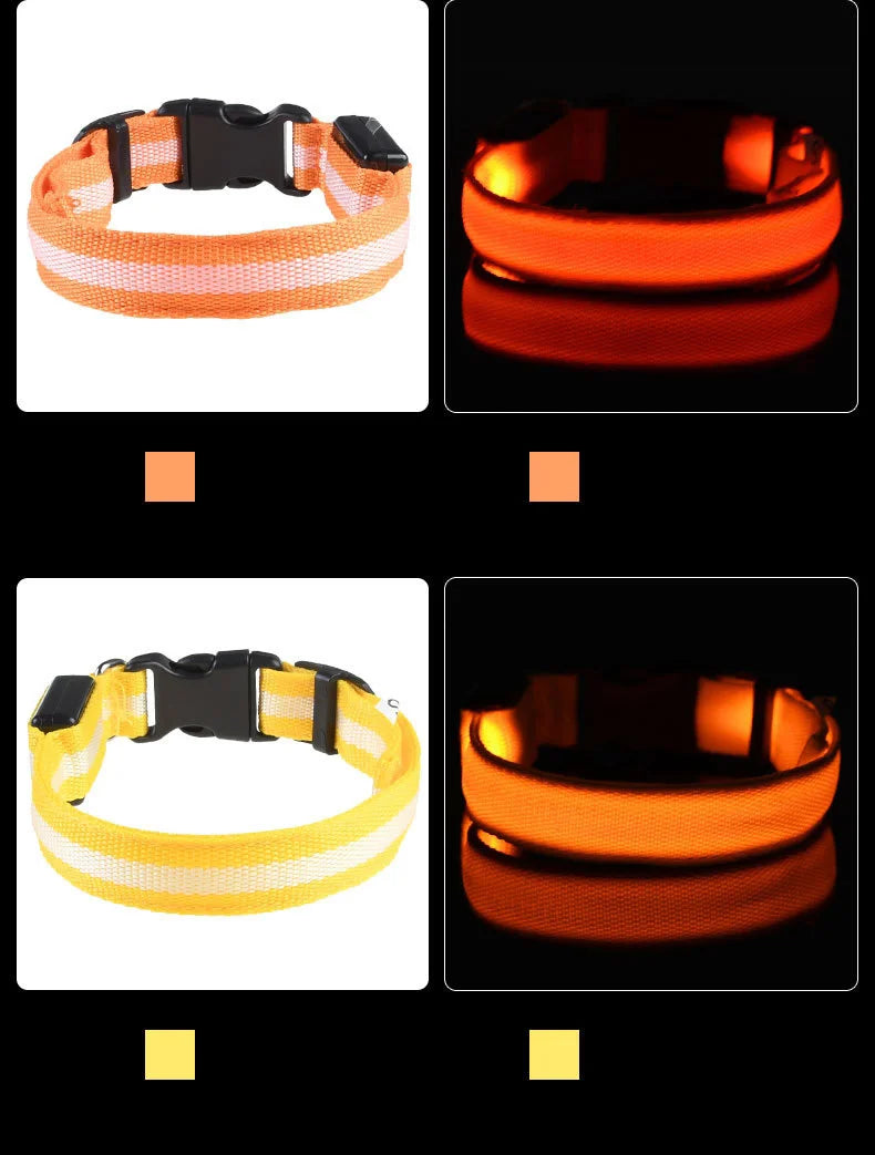 Ultra-Bright LED Night Safety Dog Collar – Glow in the Dark