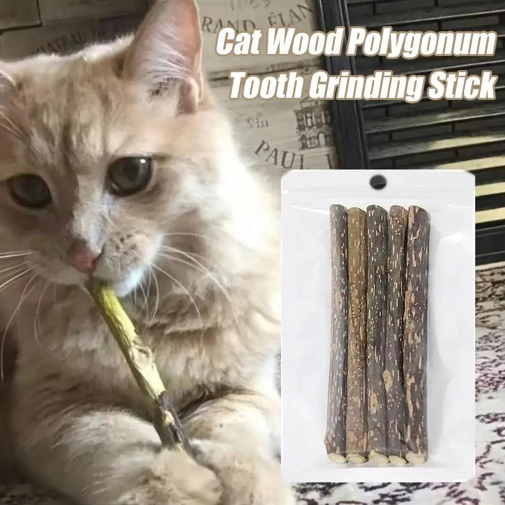 Natural Silvervine Cat Molar Sticks – 5Pcs Dental Care Chew Toys