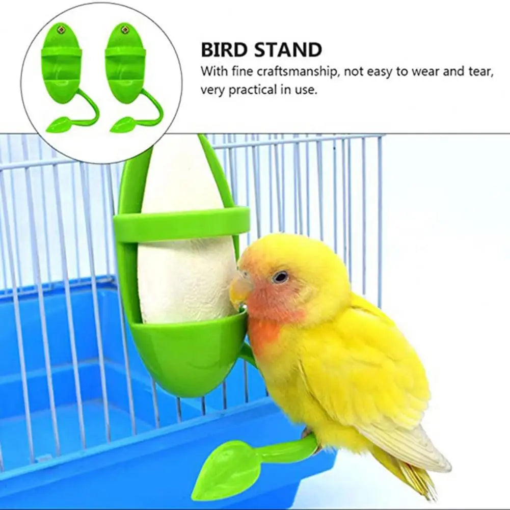 Parrot Fruit & Veggie Holder – Hanging Bird Feeder with Perch
