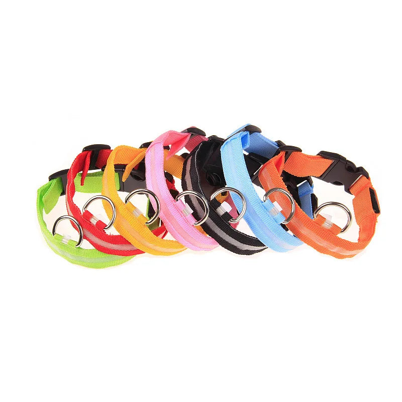 Ultra-Bright LED Night Safety Dog Collar – Glow in the Dark