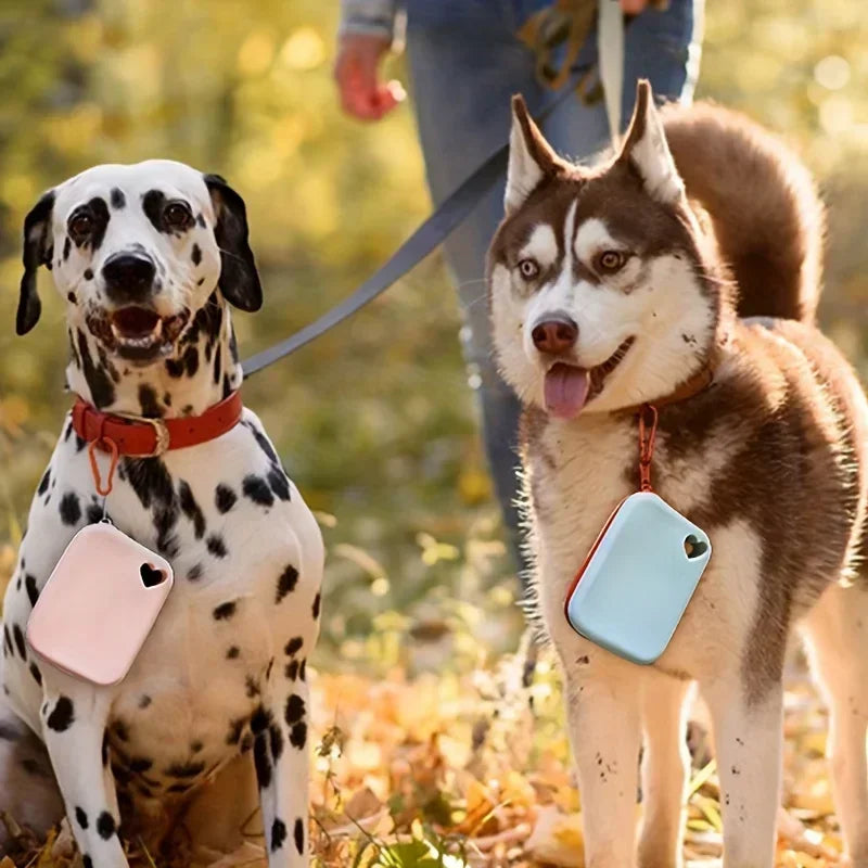 Portable Silicone Dog Treat Pouch – Waterproof Training Bag with Clip