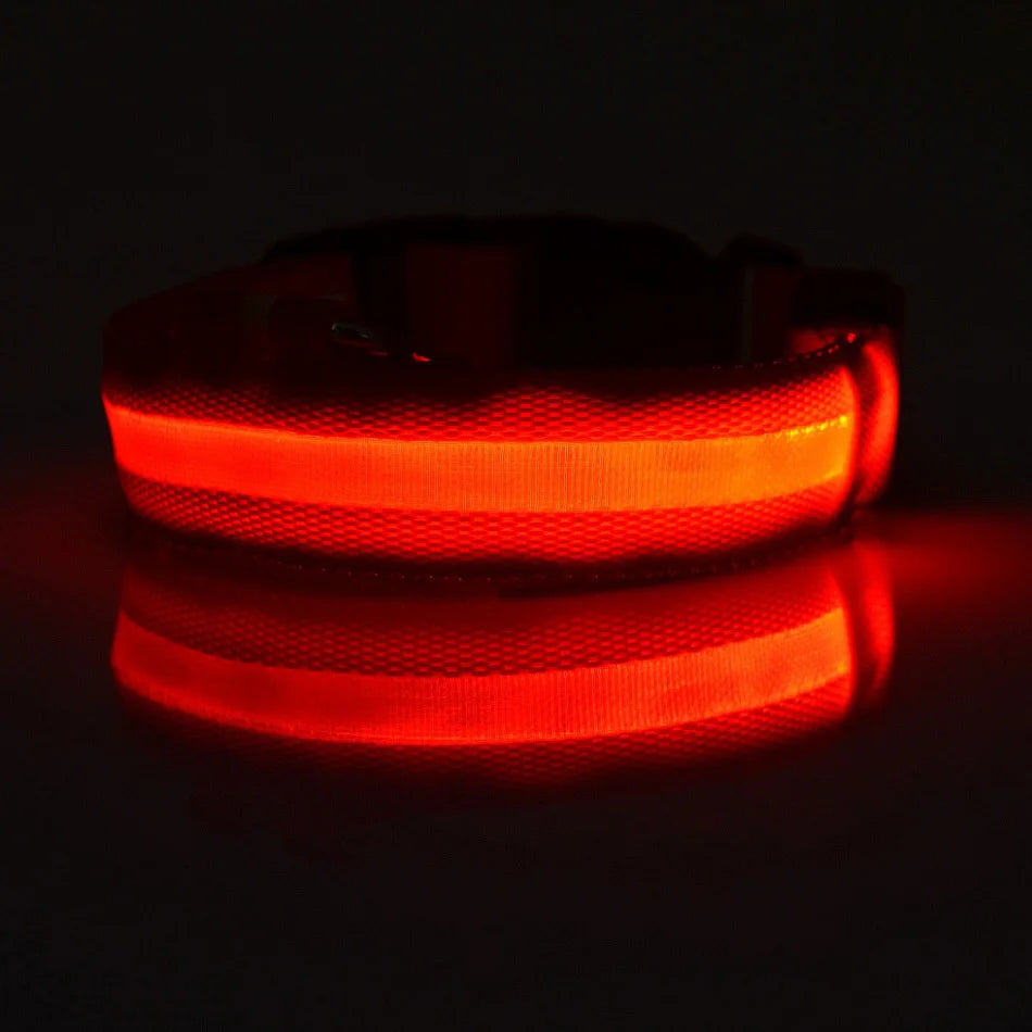 Ultra-Bright LED Night Safety Dog Collar – Glow in the Dark