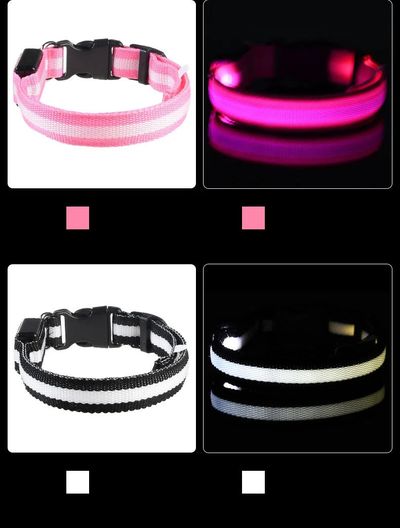 Ultra-Bright LED Night Safety Dog Collar – Glow in the Dark