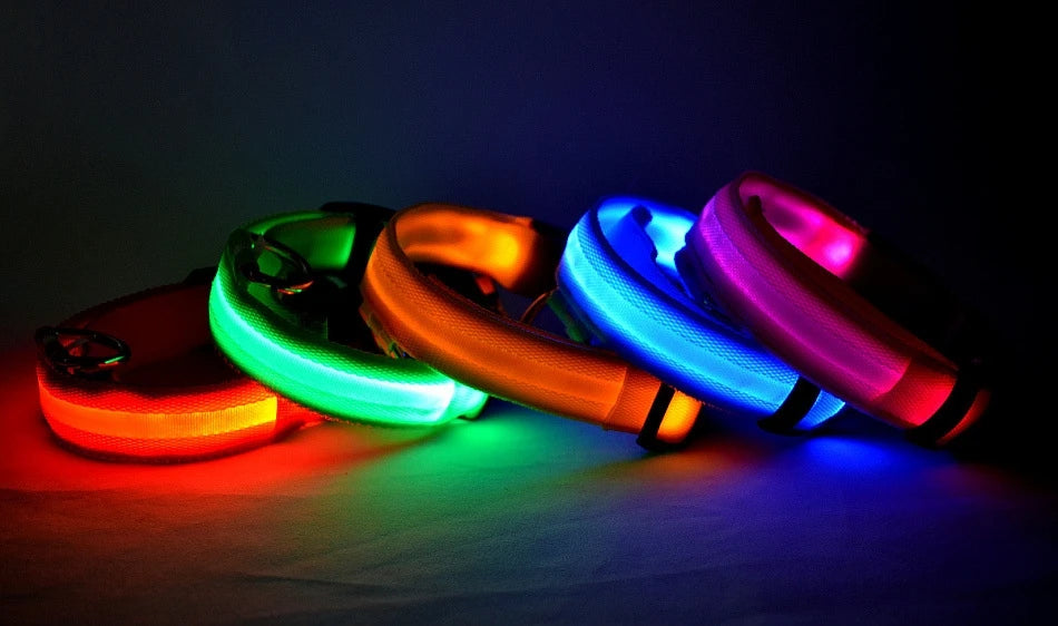 Ultra-Bright LED Night Safety Dog Collar – Glow in the Dark