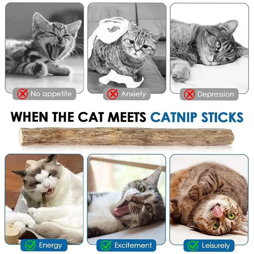 Natural Silvervine Cat Molar Sticks – 5Pcs Dental Care Chew Toys