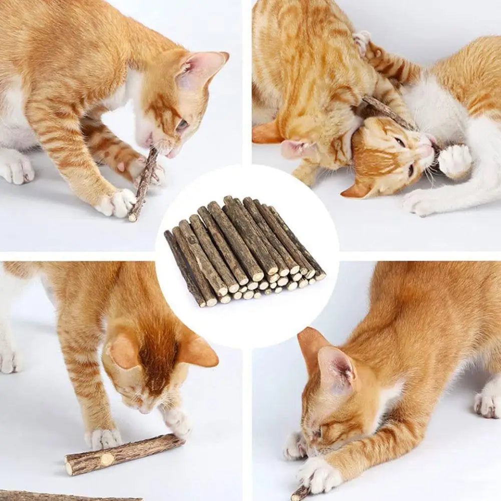Natural Silvervine Cat Molar Sticks – 5Pcs Dental Care Chew Toys
