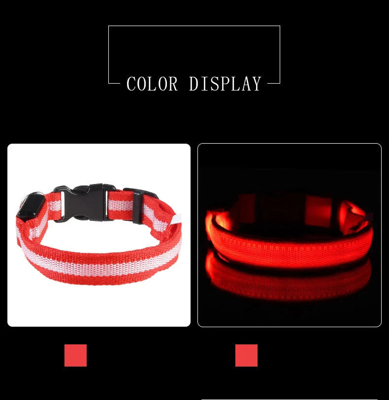 Ultra-Bright LED Night Safety Dog Collar – Glow in the Dark
