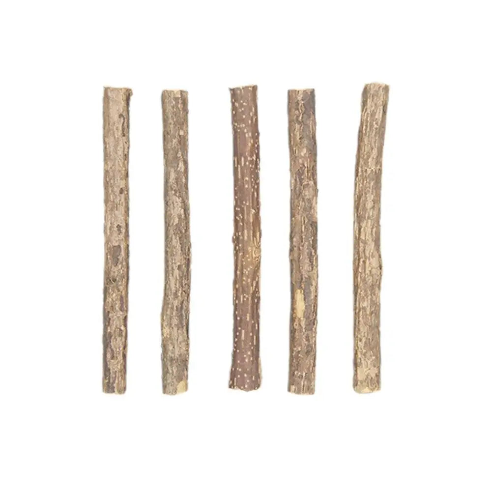 Natural Silvervine Cat Molar Sticks – 5Pcs Dental Care Chew Toys
